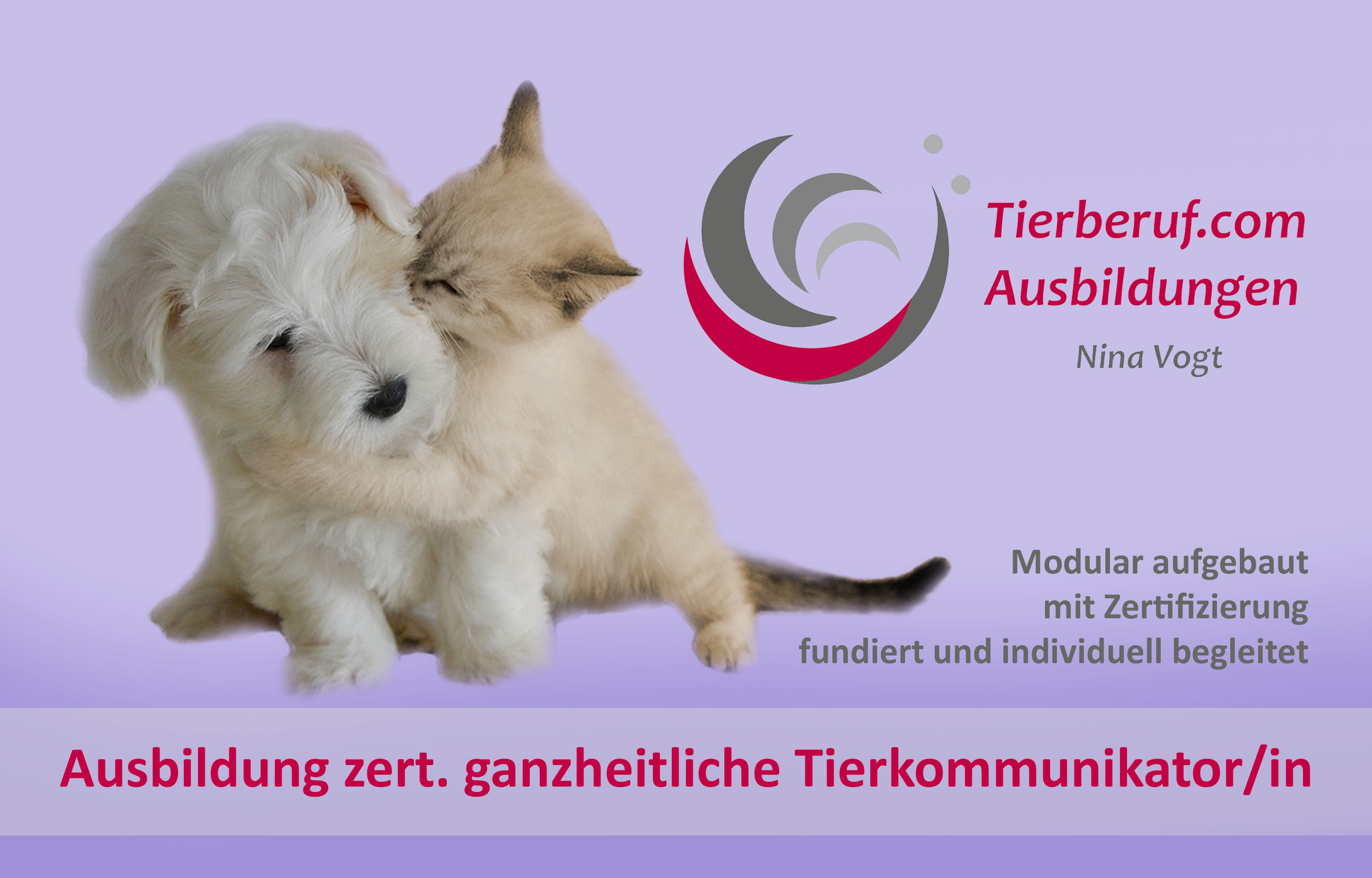 Ausbildung Tierkommunikation Tiere Verstehen Tierberuf Ausbildungen 2341